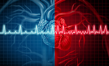 Graphic of heart in red and blue