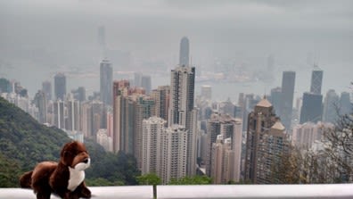 Stuffed otter posing in front of skyscrapers