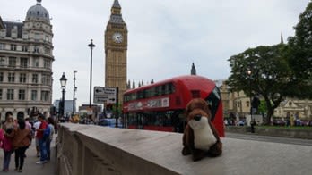 Stuffed otter in front of a red double-decker bus and Big Ben