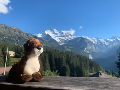 A stuffed otter posing in front of snowy mountaintops