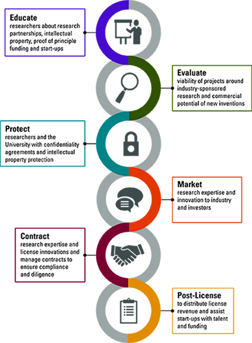 Graphic of services offered