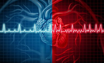 Graphic of heart in red and blue